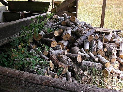 woodpile in shed,  Green Mountain Pasture, Snohomish County, Washington