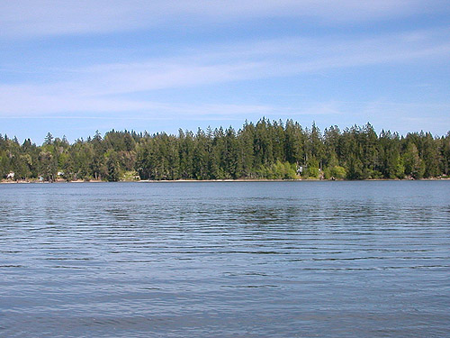 shore of Hartstene Island viewed from across Pickering Passage, near bridge