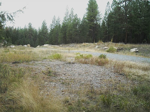 grassy field wet with rain, Haynes Estate Conservation Area, Spokane County, Washington