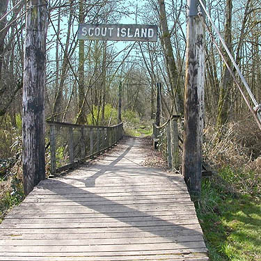 bridge to forest trail, Stan Hedwall Park, Lewis County, Washington