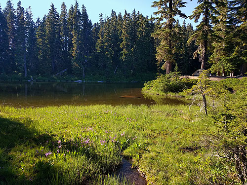 lakeside bog and campsite, Hope Lake, Chelan County, Washington