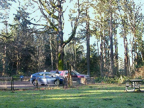 Laurel Ramseyer's and Ben Diehl's cars at Hutchison Park, Camano Island, Washington