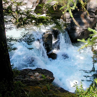 falls at footbridge, Icicle Creek at Chatter Creek, Chelan County, Washington