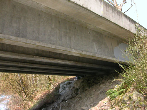 spider niches under Stillaguamish River bridge, Jackson Gulch mouth, Snohomish County, Washington