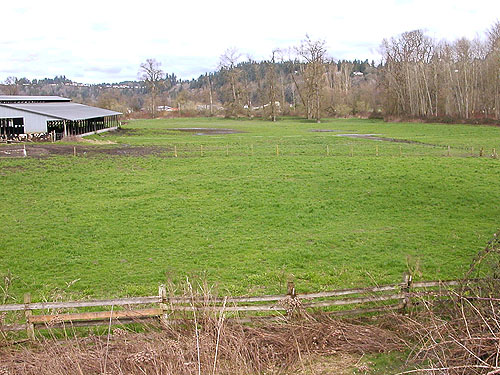 farm by Stillaguamish bridge near Jackson Gulch mouth, Snohomish County, Washington