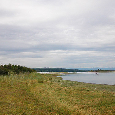 view north toward Mission Beach from Jetty Island, Everett, Snohomish County, Washington