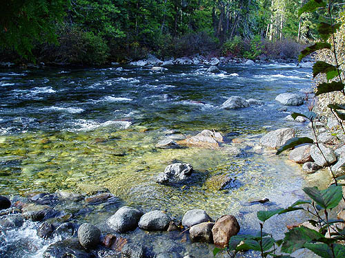 Icicle Creek from Johnny Creek Campground, Chelan County, Washington
