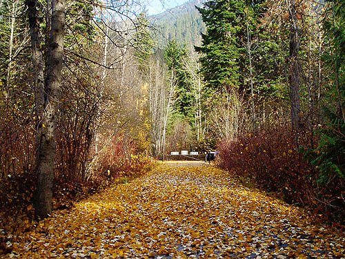 leaf-strewn road into closed Johnny Creek Campground, Chelan County, Washington