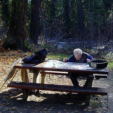 Rod Crawford sifting leaf litter in Johnny Creek Campground, Chelan County, Washington