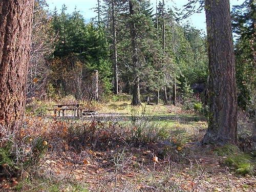 campground scene, Johnny Creek Campground, Chelan County, Washington