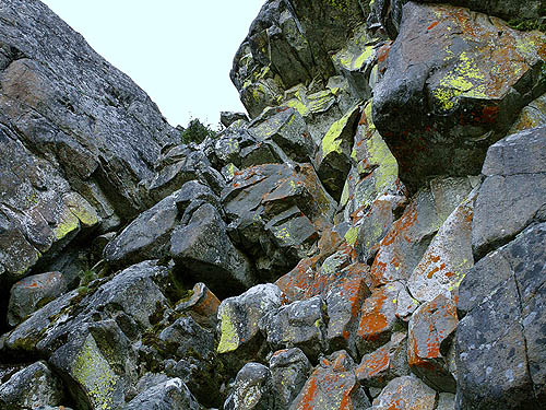 lichen-clad rock chimney on trail to Kelly Butte, King County, Washington
