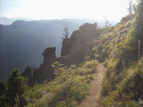 trail ascends steep south face of Kelly Butte, King County, Washington