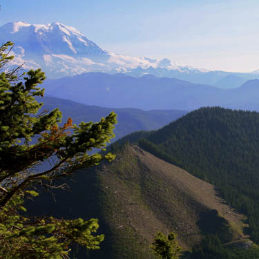 View from lookout, Kelly Butte, King County, Washington