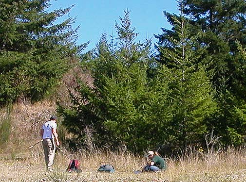 Michael & Gene look over fir beat samples, gravel pit by Kennedy Creek Road, Thurston County, Washington
