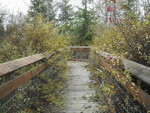 boardwalk into wetland, Carpenter Lake Nature Reserve, Kitsap County, Washington