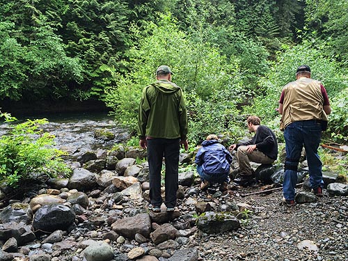The group inspects habitats, Landsburg Reach of Cedar River, King County, Washington
