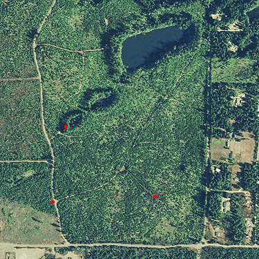 Little Hanks Lake and vicinity, Mason County, Washington, 2011 aerial photo