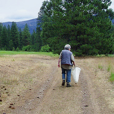 Rod Crawford sets out to collect spiders at Liberty Meadows near Liberty, Kittitas County, Washington