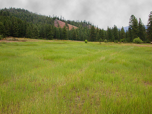 main meadow at Liberty Meadows near Liberty, Kittitas County, Washington