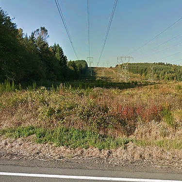 street level view of powerline clearing west of Vader, Lewis County, Washington