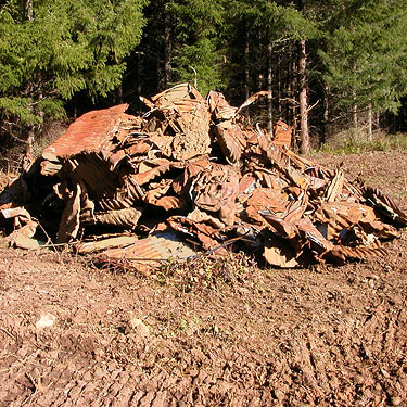 pile of scrap metal in clearing across road from Little Falls Cemetery, near Vader, Lewis County, Washington
