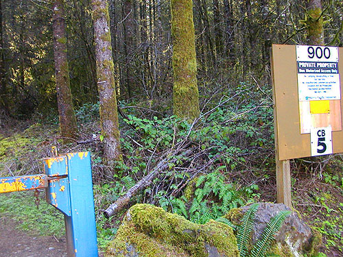 Sierra Pacific gate across road from Little Falls Cemetery, near Vader, Lewis County, Washington