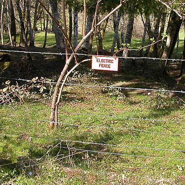 electric fence, Little Falls Cemetery, near Vader, Lewis County, Washington