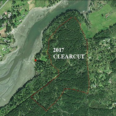 2016 aerial photo of unnamed park on Little Skookum Inlet, Mason County, Washington
