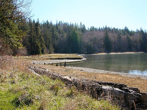 shore and beach habitats, unnamed park on Little Skookum Inlet, Mason County, Washington