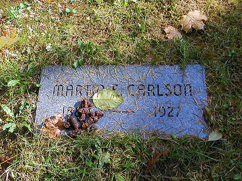 grave with dog feces, Forest Hill Cemetery, Port Ludlow, Jefferson County, Washington