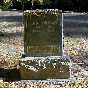 Wilkins gravestone, Forest Hill Cemetery, Port Ludlow, Jefferson County, Washington