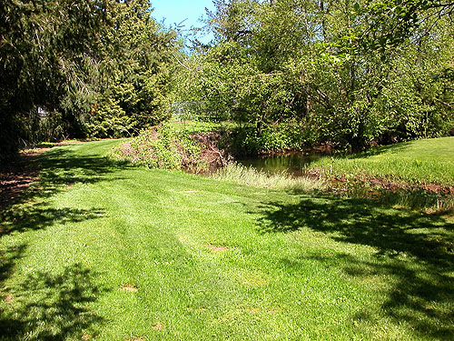 habitat at edge of Bender Fields Park, Lynden, Whatcom County, Washington