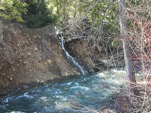 South Fork Manastash Creek at Barber Spring Road, Kittitas County, Washington
