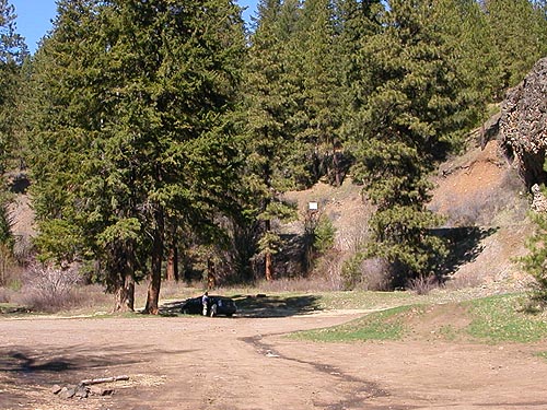 car under big pine trees, South Fork Manastash Creek at Barber Spring Road, Kittitas County, Washington