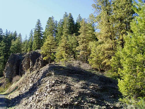 Canyon rim, South Fork of Manastash Creek at Barber Springs Road, Kittitas County, Washington