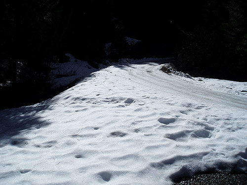 snow on north facing slope, South Fork Manastash Creek at Barber Springs Road, Kittitas County, Washington
