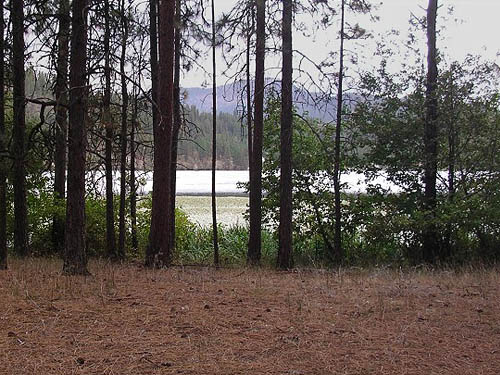 narrow riparian zone along Long Lake, McLellan Conservation Area, Spokane County, Washington