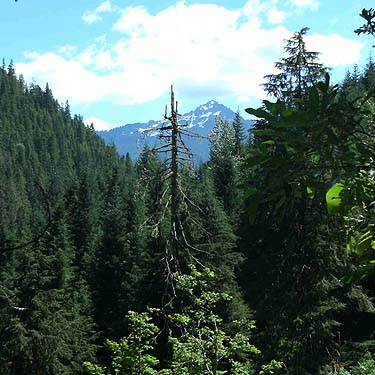 Pugh Mountain from lower Meadow Mountain Trail, Snohomish County, Washington