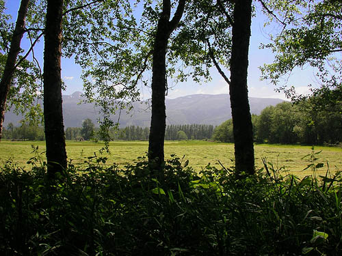 hay field south of Cascade Trail near Minkler Lake, Skagit County, Washington