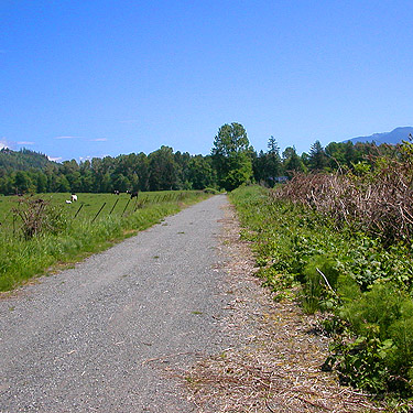 Cascade Trail near Minkler Lake, Skagit County, Washington