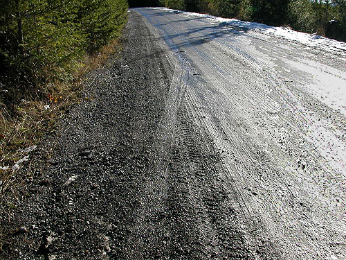 road wet with snow melt, 2006 clearcut on Mowich Lake Road, Pierce County, Washington