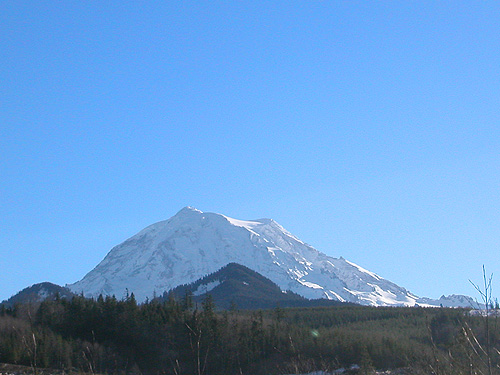 Mount Rainier viewed across 2012 clearcut on Mowich Lake Road, Pierce County, Washington