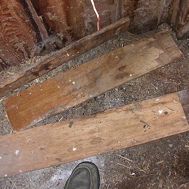 boards in old barn, Naneum Creek (at Naneum Road bridge), Kittitas County, Washington