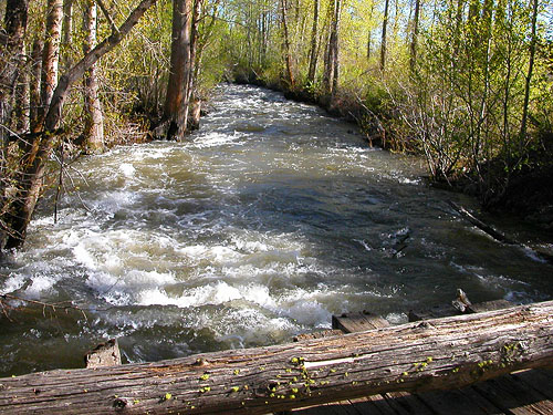 Naneum Creek at old bridge north of Naneum Road bridge, Kittitas County, Washington
