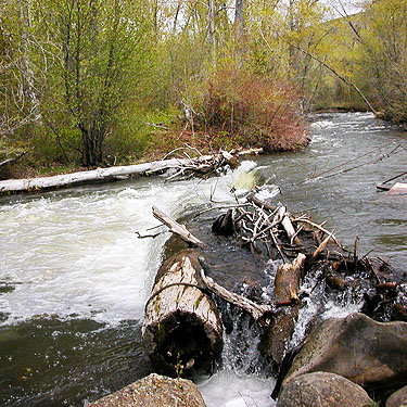 Naneum Creek (at Naneum Road bridge), Kittitas County, Washington