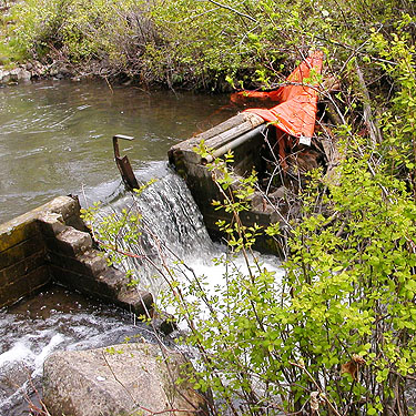 diversion point for irrigation canal, Naneum Creek (at Naneum Road bridge), Kittitas County, Washington