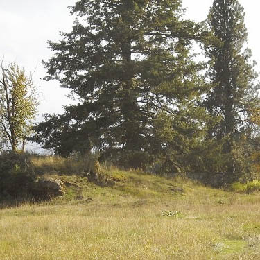mound at base of Turtle Rock, service building site, McKenzie Conservation Area, Newman Lake, Spokane County, Washington
