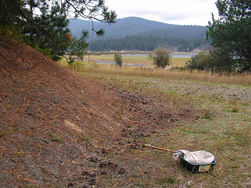 trailside pine cone accumulation, service building site, McKenzie Conservation Area, Newman Lake, Spokane County, Washington