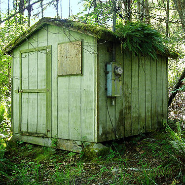 shack in woods, Nick's Lagoon park near Seabeck, Washington