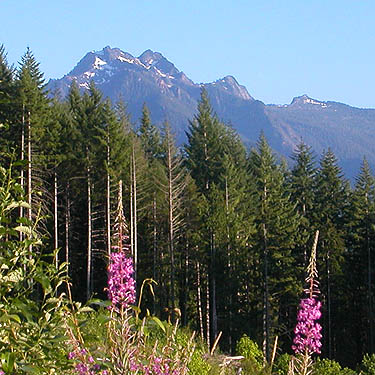 Jumbo Mountain from side of North Mountain, Skagit County, Washington (near Darrington)